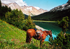 Canada-British Columbia-Chilcotin Backcountry Expedition